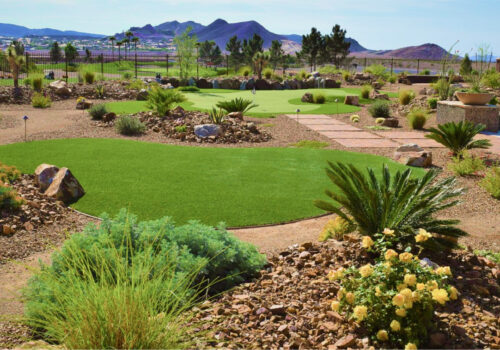 A view of a garden with lots of plants.