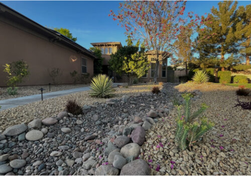 A yard with rocks and plants in it