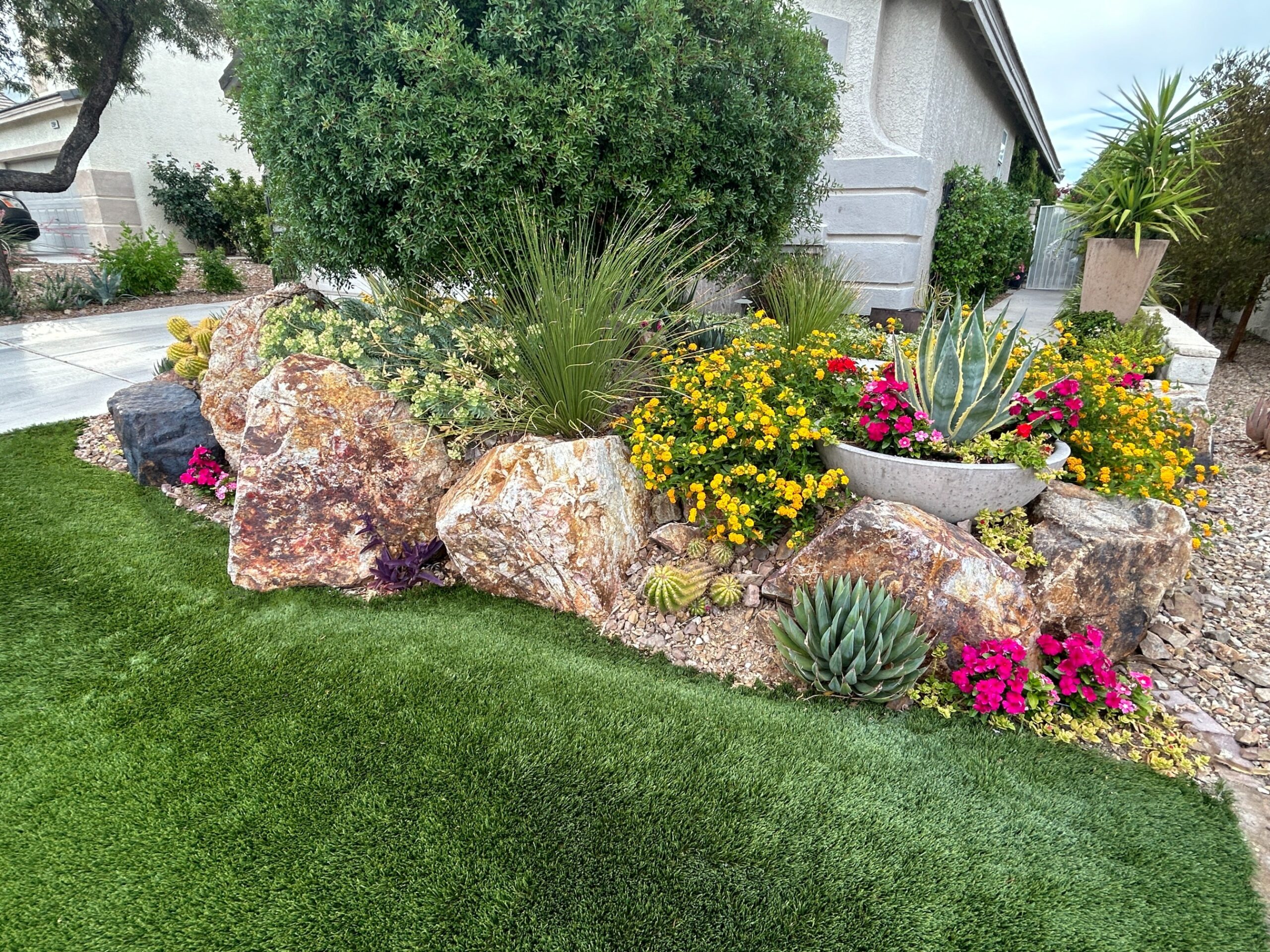 A garden with rocks and plants in the grass. A garden with rocks and plants in the grass.